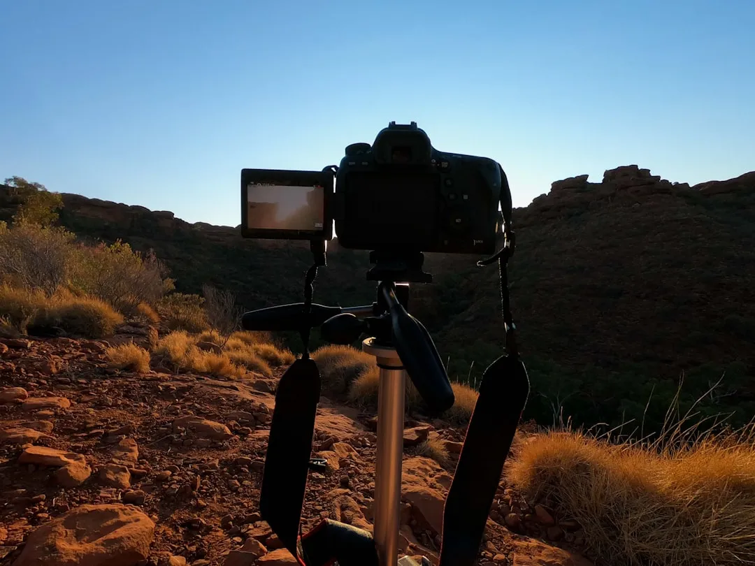 工业控制现场信号干扰解决方案：基于数据采集卡的优化实践